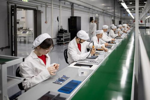 因諾波利斯 代碼編織的未來之城